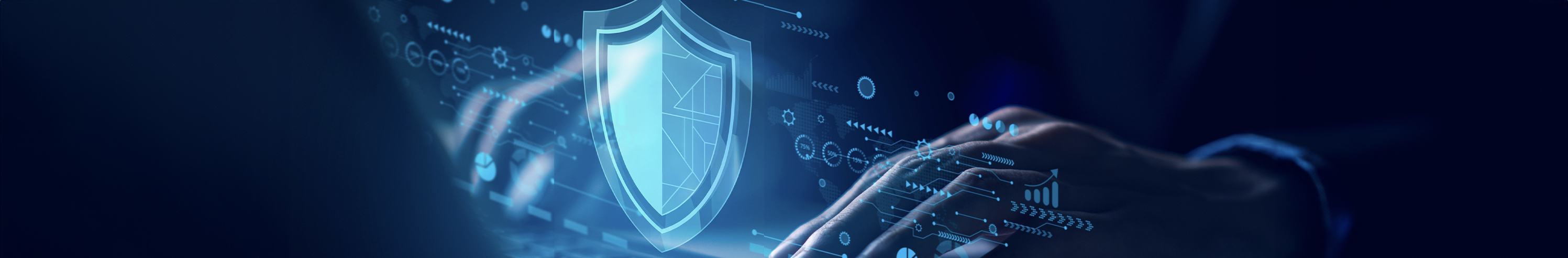 ضوابط الأمن السيبراني لجهات القطاع الخاص