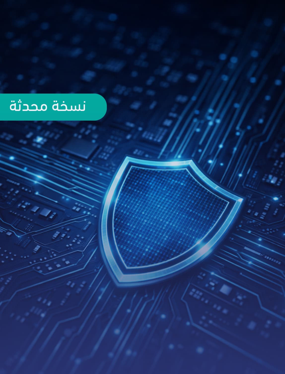 الضوابط الأساسية للأمن السيبراني