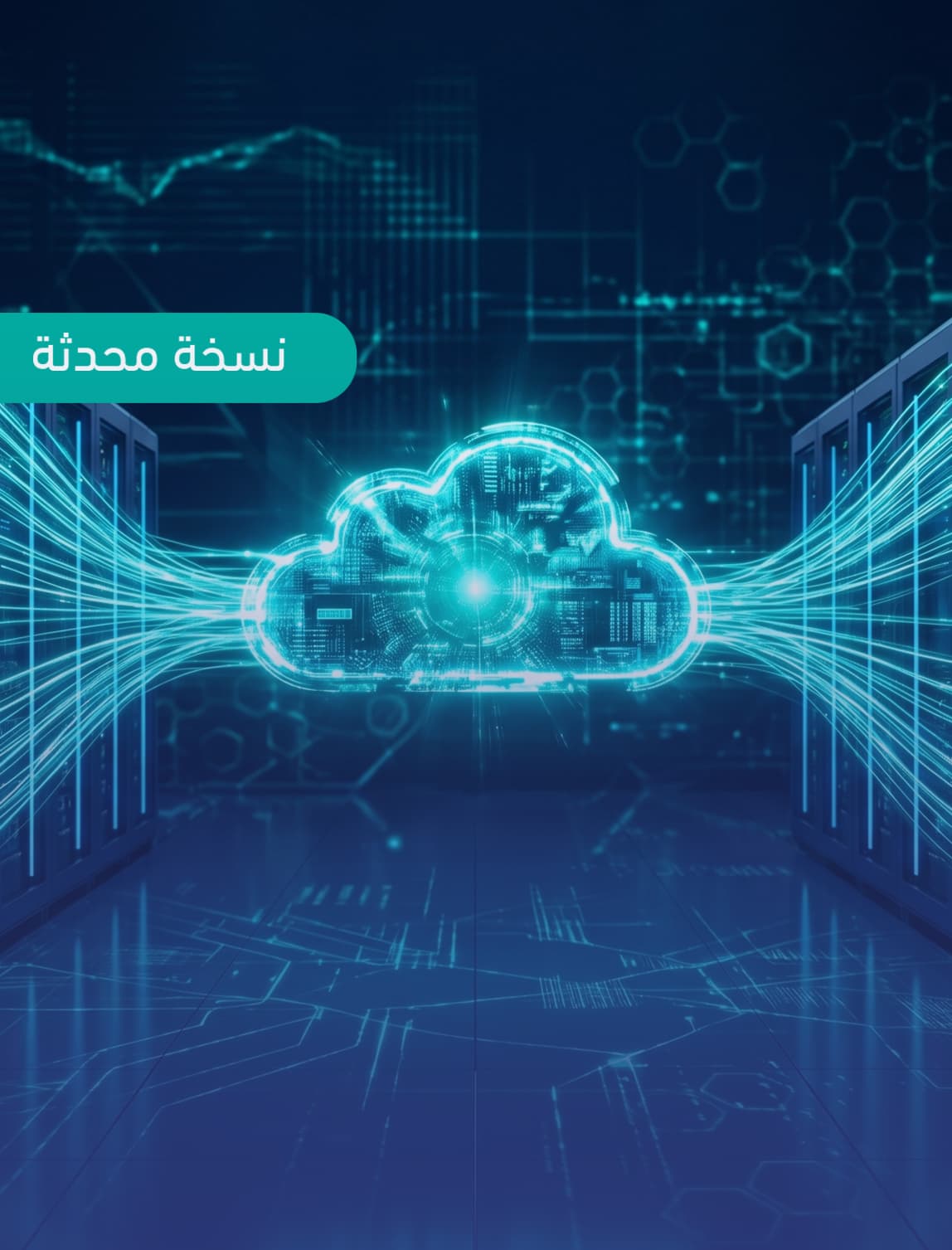 ضوابط الأمن السيبراني للحوسبة السحابية